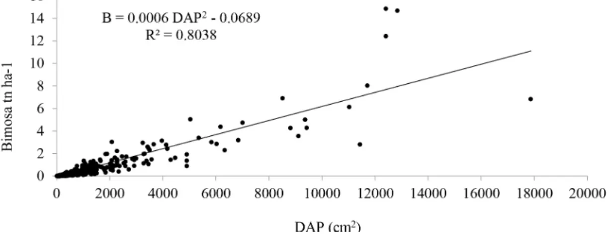 TABLE 3: Allometric models adjusted to the tree layer of the lower montane forests of Southern Ecuador.