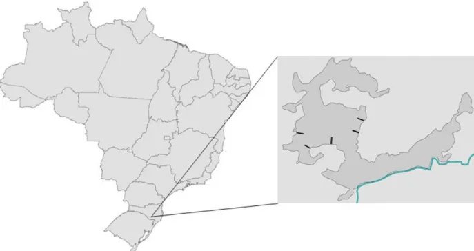 FIGURA 1:   Localização das unidades amostrais em um fragmento de Floresta Ombrófila Mista em Lages-SC.