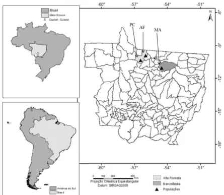 FIGURE 1:    Location of collection sites of Hymenaea courbaril in the Mato Grosso State, in the municipalities of  Alta Floresta and Marcelândia