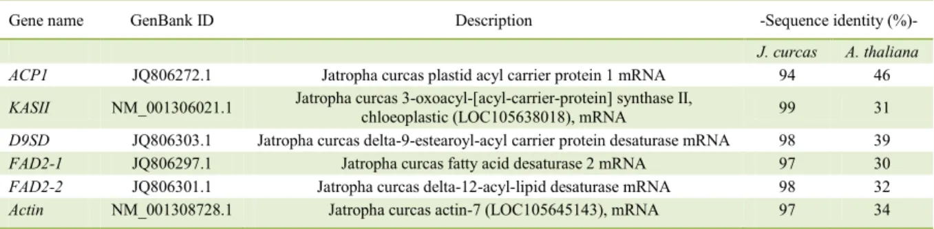 Table 1 - Jatropha curcas sequences which showed homology with Jatropha cinerea sequences obtained in this study