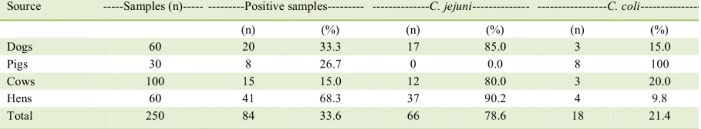 Table 1 - Campylobacter species distribution among domestic animals from Southern Ecuador