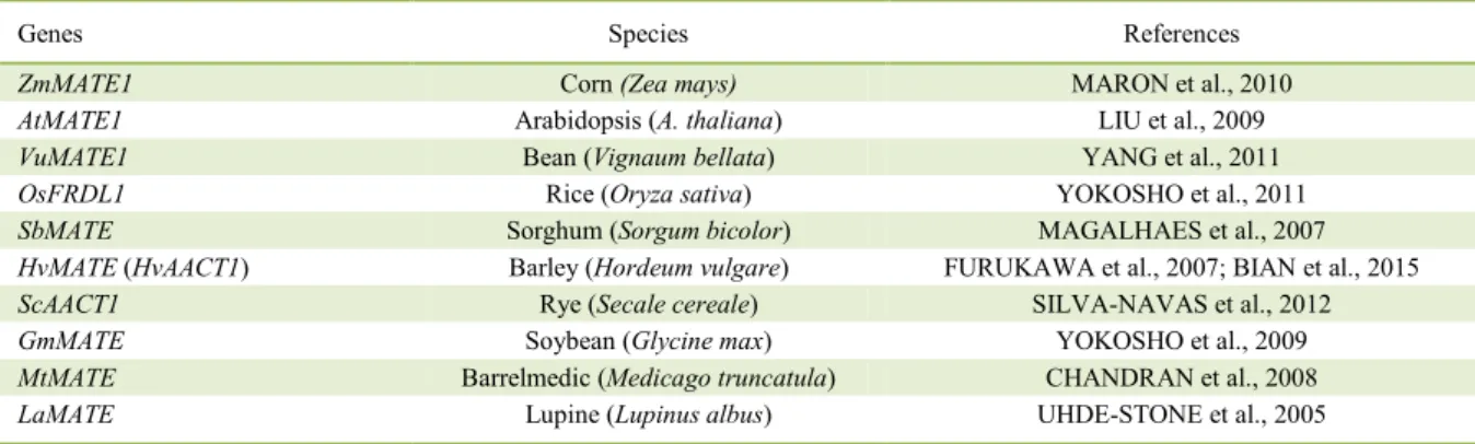 Table 2 - Orthologous TaMATE1B genes reported in various plant species. 