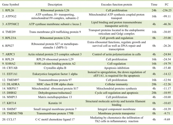 Table 2 - List of 20 most down-regulated genes during in vitro CaHV-1 infection as a function of time (H) and quantity (FC)