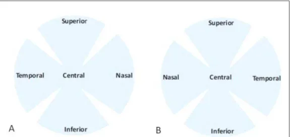 Figure 1 - Schematic image representing corneal endothelium areas. (A) Right eye. (B) Left eye.