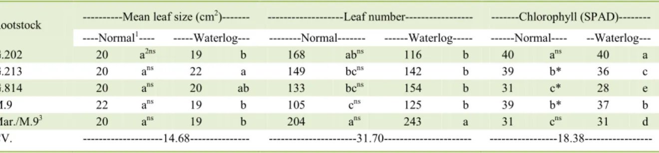 Table 2 - Mean leaf size, leaf number and chlorophyll of ‘Maxi Gala’ plants in function of five rootstocks (G.202, G.213, G.814, M.9  and Marubakaido/M.9 interstock) and two hydric conditions (normal and waterlogged)