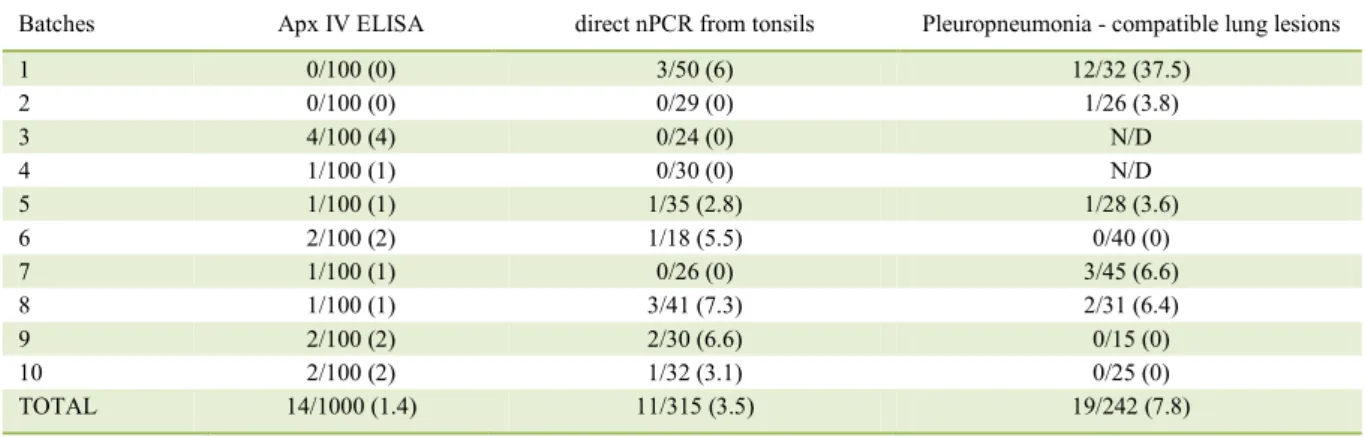 Table 1 - Number (percentages) of ApxIV ELISA, nPCR from tonsils and lung lesions detection out of total pigs tested from ten batches  of 21-22 weeks old pigs