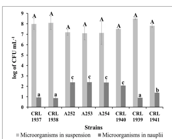 Figure 1 – Number of viable microorganisms isolated from water and crustaceans after a 2 h coincubation of each  strain with the live food suspension