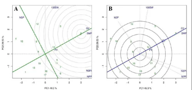 Figure 2 - GT biplot comparing the 17 green bean lines evaluated with (A) the estimate of an ideal genotype and (B) the discrimination  and representing the best genotypes for each trait.GT Biplot comparing 17 green bean lines assessed in order to estimate