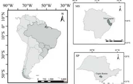 Figure 1: South America political map, highlighting Brazil and depicting the state boundaries for Mato Grosso do  Sul (MS) and São Paulo (SP), which are shown in detail in the smaller maps to the right, where it can be seen the  location of Capão Bonito co
