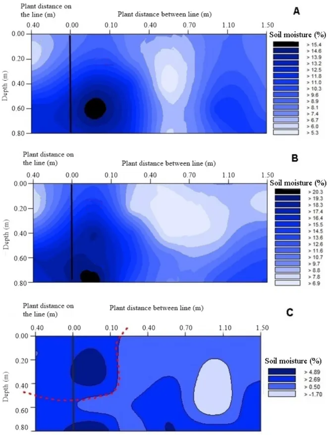 Figure 2: Soil moisture before (A) and after (B) irrigation and wet bulb formation (C) after irrigation of 10 mm.