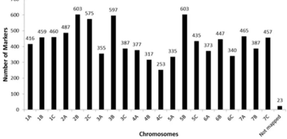 Figure 1. Distribution of the 10,049 SNP markers used to estimate the genetic distances in the 211 wheat chromosomes.