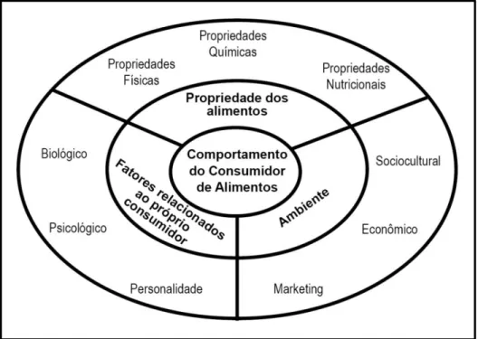 Figura 8: Taxonomia das Determinantes do Comportamento do Consumidor de Alimentos  Fonte: Adaptado de Steenkamp (1993) 
