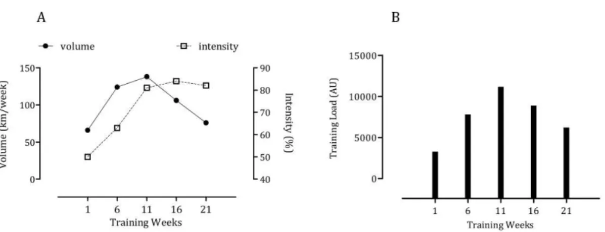 Figure 1 Training outcomes. 