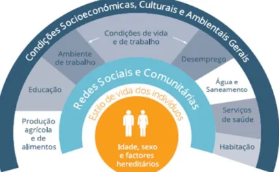 Figura 3. Modelo de determinantes sociais da saúde 