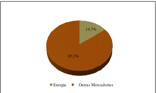 Figura 10- Peso da energia importada na balança de mercadorias FOB em 2007 (Factura energética  portuguesa, 2008)