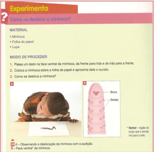 Figura 5 - Exemplo de uma Atividade para aquisição de sensibilidade acerca dos fenómenos  (manual E