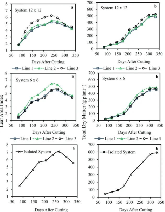 Figure 4 - Leaf area index (a) and total dry matter ( b) of sugarcane in agroforestry and isolated systems in different lines  of evaluation throughout the days after cutting.
