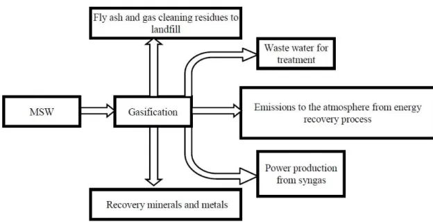 Figure 1.5 - Schematic representation of gasification inputs and outputs. 