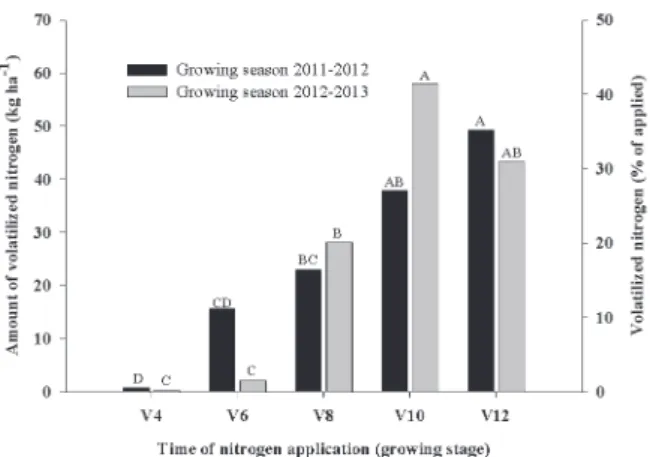 Figure 2 -  Amount and percentage of volatilized nitrogen  from urea sidedressed during different corn growing stages
