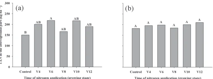 Figure 3 - Total accumulated nitrogen (TAN) in the aboveground part of corn plants as a function of urea sidedress timing during  2011–2012 (a) and 2012–2013 (b)
