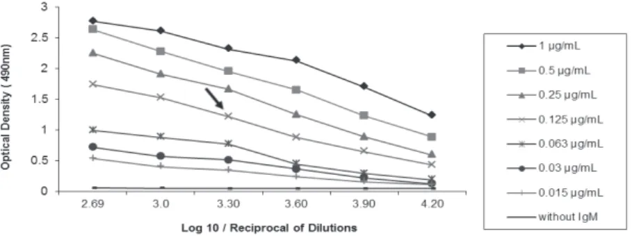 Figure 3 - Titration curves in indirect ELISA of rabbit anti-pacu IgM antiserum  that was serially diluted (1:500 to 1:16000) and tested against different coating  concentrations (1.0 to 0.015mg/mL) of purified pacu IgM