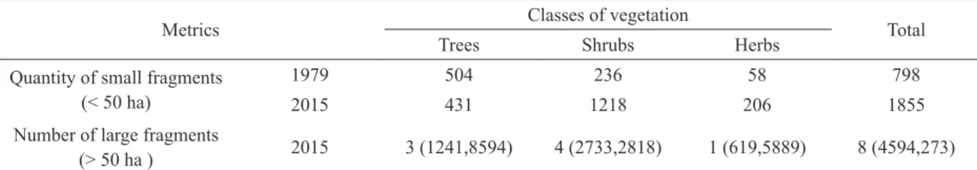 TABLE II 