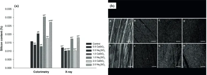 Figure 1 -  (a) Silicon content (%) by colorimetric method and X-Ray microanalysis and  (b) silicon mapping at the abaxial  epidermis in plants of B