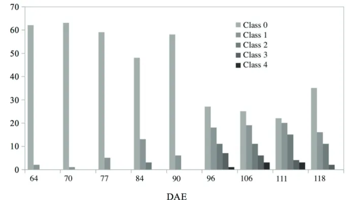 Figure 1 - Observed frequency of E. heros in nine cotton sampling dates between 64 and 118 days after emergence (DAE), and  grayscale color representing each class
