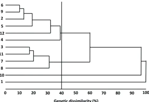 Figure 1 -  Dendrogram showing genetic dissimilarity between 12 genotypes of Manihot  esculenta, determined by UPGMA, based on the generalized Mahalanobis distance (D 2 ),  considering 12 morphoagronomic traits