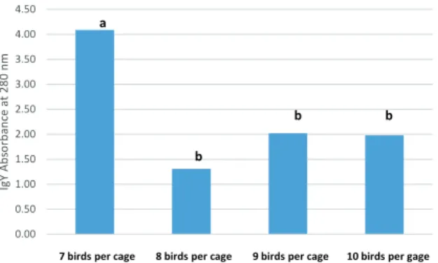 Figure 1 - IgY from Quails eggs at different densities of  caging, from 7 birds per cage up to 10 birds per cage.