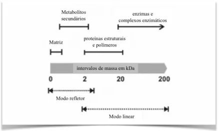 Figura 13. Tipos de compostos celulares detetados, em diferentes intervalos de massa, de célula intacta em MS.