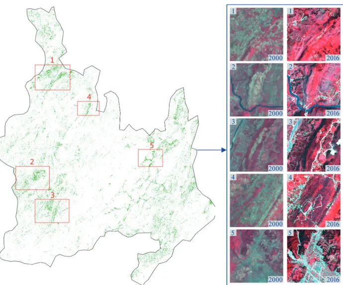 Figure 5 - New additional vegetation area and the part of contrast images of typical regions that was changed from 1 to 10 in 2000  and 2016, respectively.