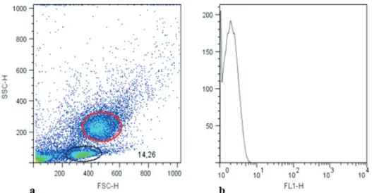Figure 2 - Dot plot graph. The Dot plot graph (a) shows the gate for monocytes (red circle) and the gate  for lymphocytes (black circle) from peripheral canine blood analyzed by flow cytometry and selected  for lymphocyte immunophenotyping