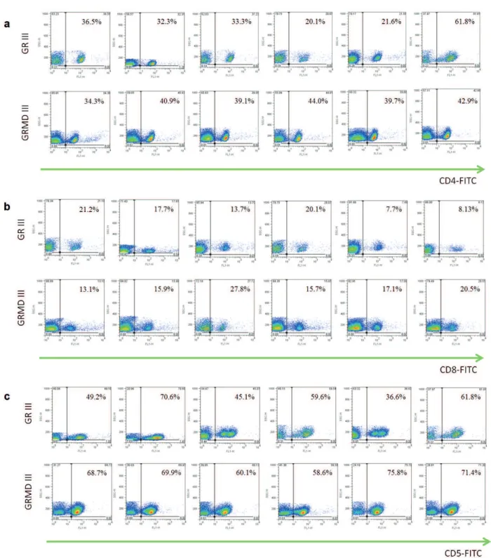 Figure 3 - Lymphocyte immunophenotyping of blood of normal and affected by muscular dystrophy dogs