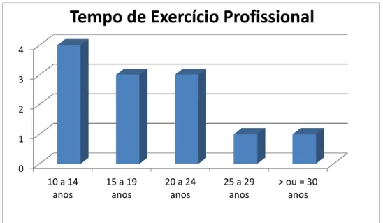 Gráfico 3 - Tempo de exercício profissional 