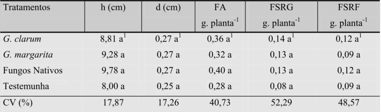 TABELA 3: Altura (h), diâmetro à altura do colo (d), peso da fitomassa aérea (FA), fitomassa  subterrânea de raízes grossas - FSRG (&gt; que 1,0mm de diâmetro) e fitomassa  subterrânea de raízes finas - FSRF (&lt; que 1,0mm de diâmetro) em mudas de  Dimorp