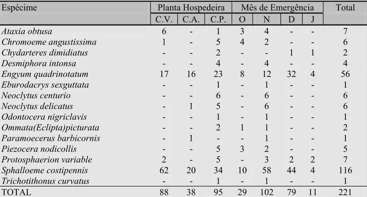 TABELA 1: Frequência mensal de Cerambycidae, emergidos dos galhos de três espécies de  lauráceas  cortados por Oncideres captiosa, no Morro do Cerrito, Santa Maria-RS,  1993