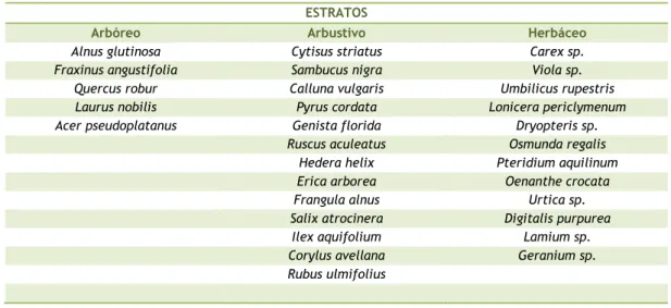 Tabela 1 - Elenco florístico (Troço 1)  ESTRATOS 