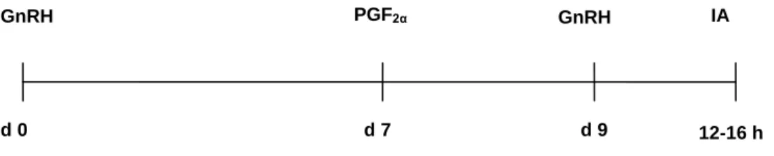 Figura 6 – Representação esquemática do protocolo Ovsynch 