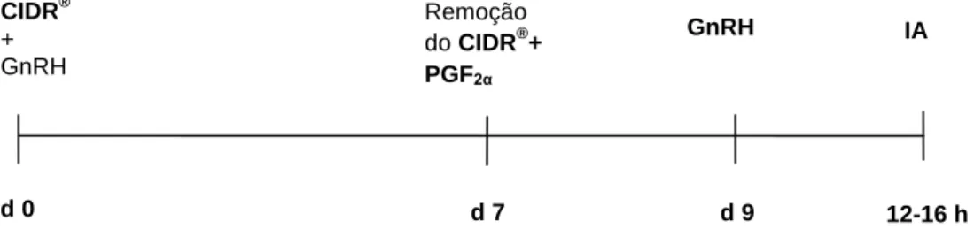 Figura 10- Representação esquemática do protocolo Ovsynch associado à progesterona. 