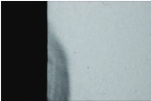 Figure 2: TMR image of a representative specimen ater microbio- microbio-logical caries induction.