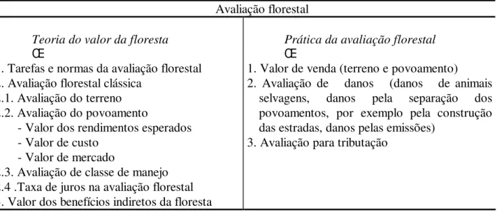TABELA 1: Posição dos benefícios indiretos na avaliação florestal. 