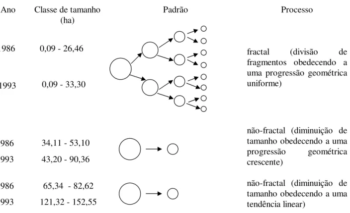 FIGURA  9:  Padrões  de  fragmentação  da  vegetação  natural  na  depressão  periférica  da  Cuesta  de  Botucatu (SP)