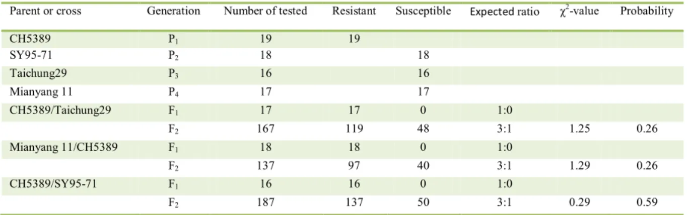 Table 2 - Genetic analysis of resistance for stripe rust reactions in parents and F 1 , F 2  populations