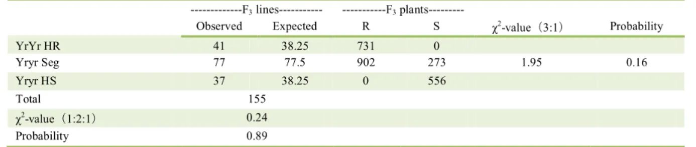 Table 3 - resistance segregation to stripe rust race CYR32 in the F 3  lines. 