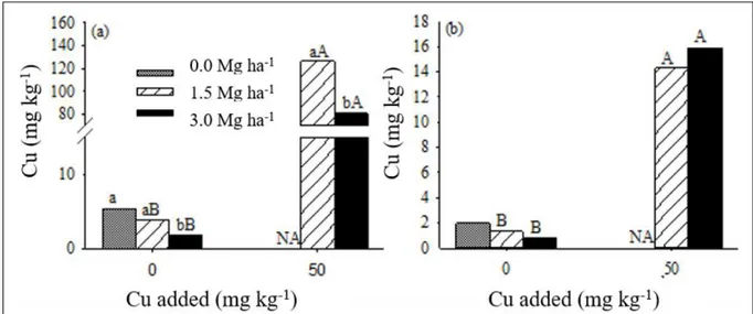 Figure 1 - Copper (Cu) content in the root apoplast (a) and symplast (b) of black oats grown in soil with and without the addition of Cu,  combined with limestone doses