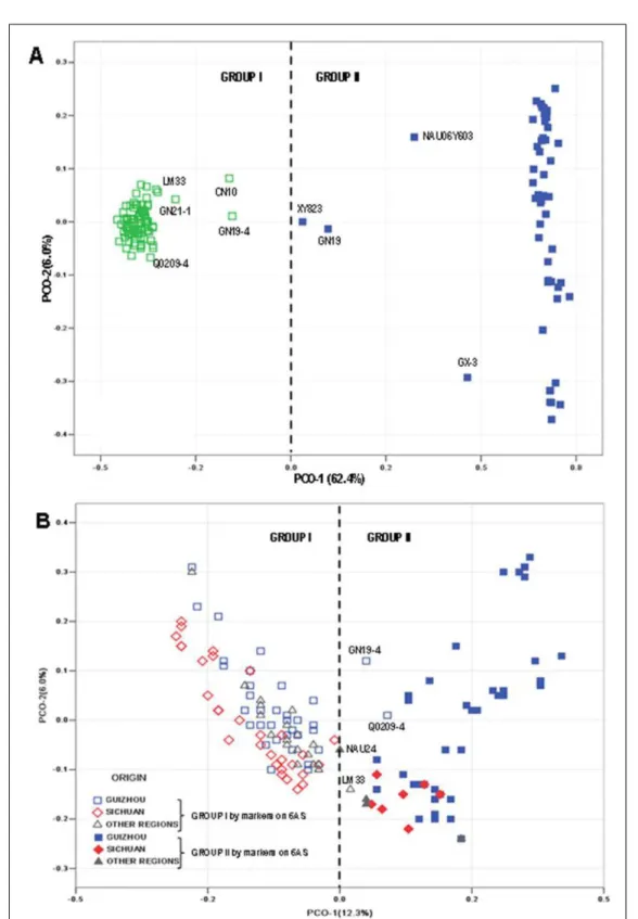 Figure 2 - Population structure based on PCoA using genotype data from 6AS markers (A) or from 30,485    informative markers at the whole-genome level (B).