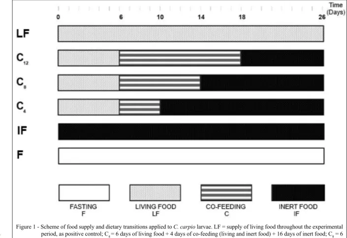 Figure 1 - Scheme of food supply and dietary transitions applied to C. carpio larvae. LF = supply of living food throughout the experimental  period, as positive control; C 4  = 6 days of living food + 4 days of co-feeding (living and inert food) + 16 days