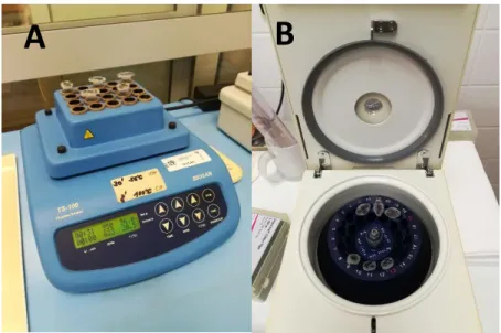 Figure 3: A - Thermocycler (TS-100, Thermo Shaker, BIOSAN) with samples previously identified