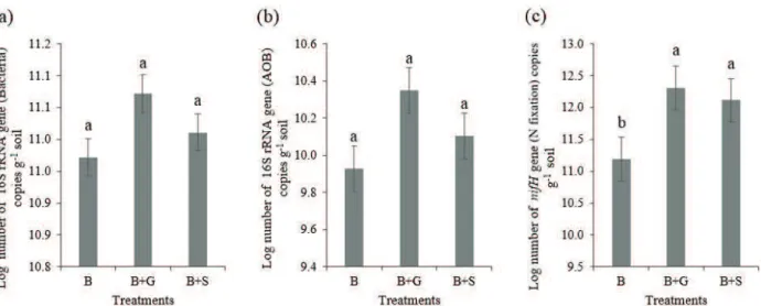 Figure 2:  Copy  numbers  of  the  16S  rRNA  gene  (total  bacteria)  (a),  copy  numbers  of  the  16S  rRNA  gene  of  ammonium-oxidizing bacteria (AOB) (b) and copy numbers of the nifH gene of diazotrophic bacteria (c) in soils of  a silvopastoral syst